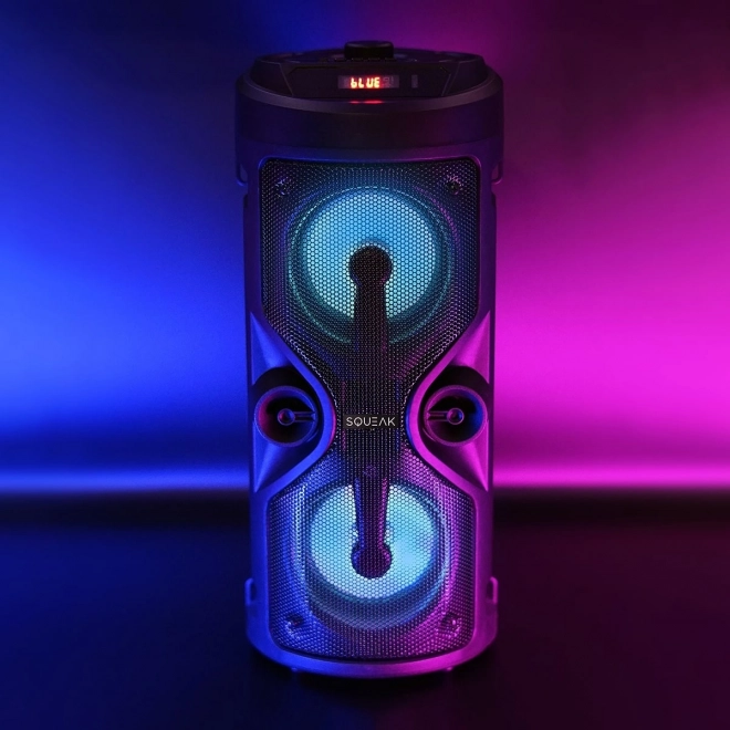 Bluetooth Speaker Harmony with Karaoke Function