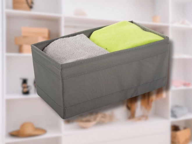 Organizér szürke fehérneműknek és zokniknak - BRAIN ORGANISER