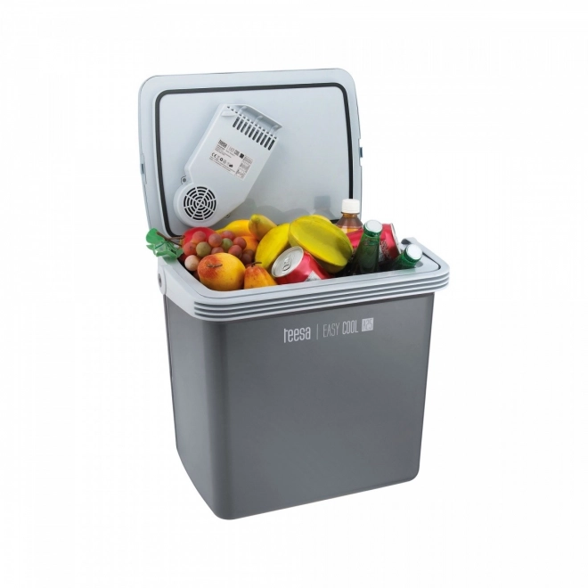 Portable Fridge with Heating Function 25L