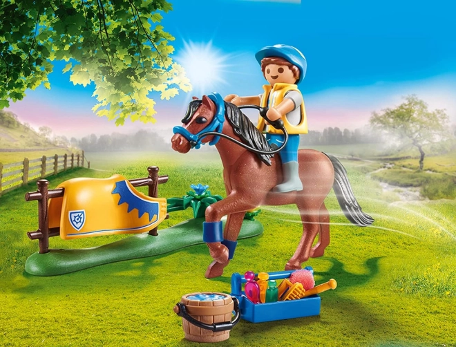 Fun riding and training