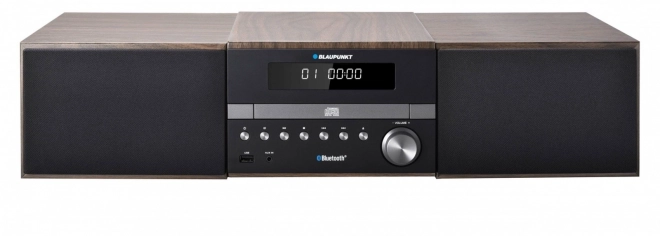Bluetooth Micro Hi-Fi System with RDS/ID3 Tag and CD/MP3/USB/AUX