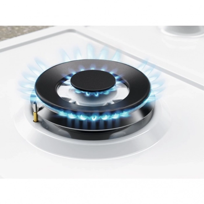 White Gas Cooktop
