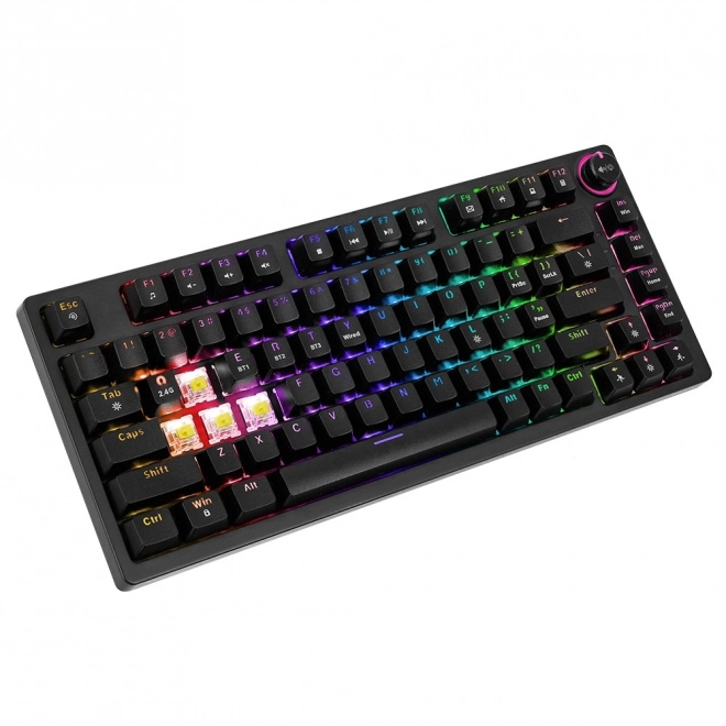 Wireless Mechanical Keyboard with Gateron Yellow Pro Switches