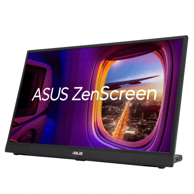 17-inch IPS Monitor
