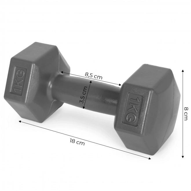 Dumbbells Hex ModernHome 2x1 kg