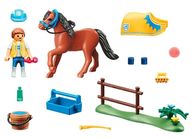 Everything for caring for the pony