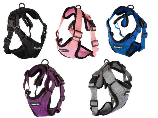 Schelle senza pressione per passeggiate cane XL