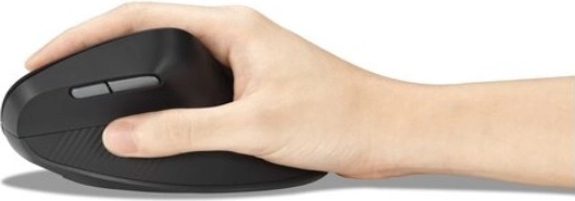 Multiple connectivity options