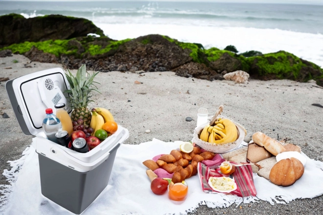 Portable Car Refrigerator with Heating, 29L, Graphite