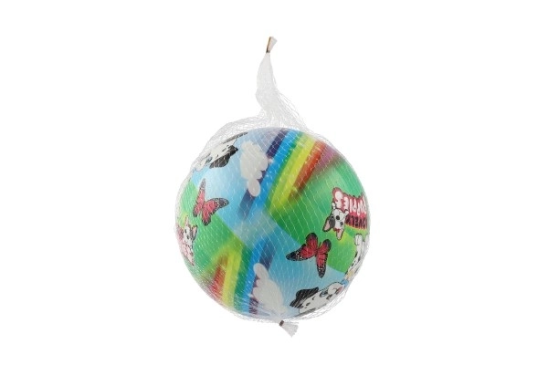 Inflatable Dog Ball 23cm