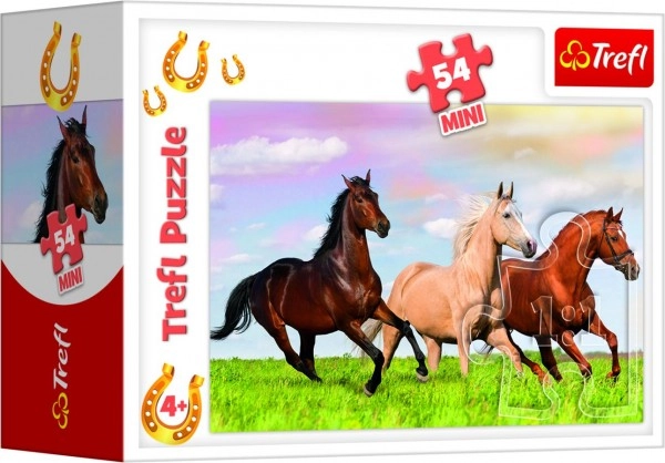 Mooie paardenmotieven