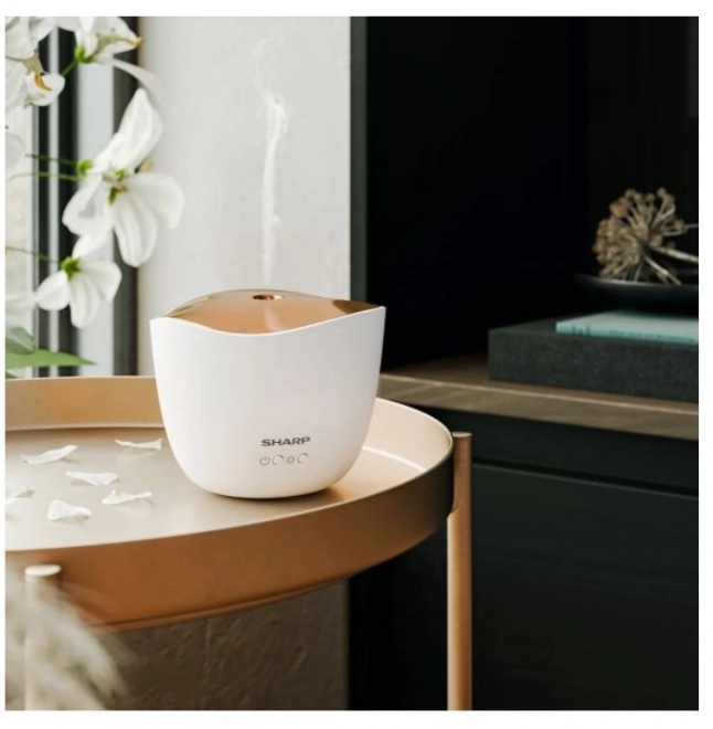 Ultrasonic Aroma Diffuser with Rose Gold Metallic Cover