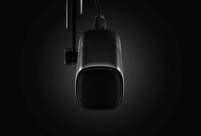 Dynamic Microphone Wave DX