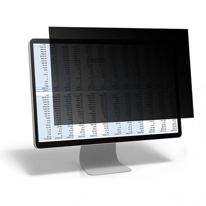 Privacy Filter for GDPR Compliance 24-inch 16:10 Black