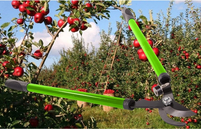 Maximum power thanks to long arms