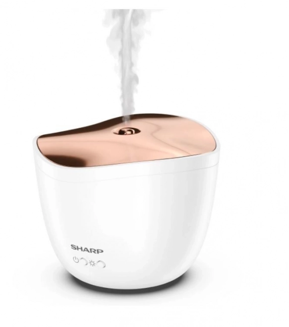 Ultrasonic Aroma Diffuser with Rose Gold Metallic Cover
