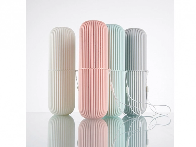 Travel Toothbrush and Toothpaste Case Organizer