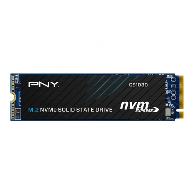 Pny 1TB M.2 NVMe SSD
