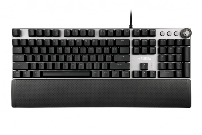 Multimedia Functionality