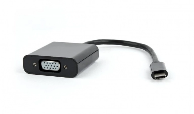 Adattatore USB-C a VGA