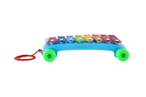 Ksilofon plast/metal 24cm s palicama 2 boje u vrećici 19x31x6cm