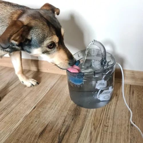 Praktičen set 4 kosov za daljše delovanje