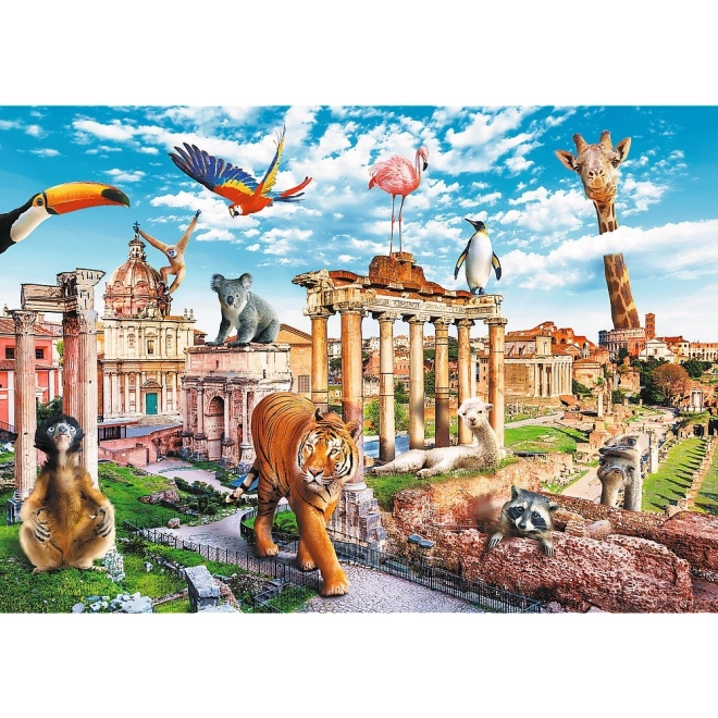 Cheerful Rome theme full of animals