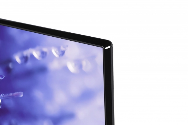43" LED TV 43LV2E63DG