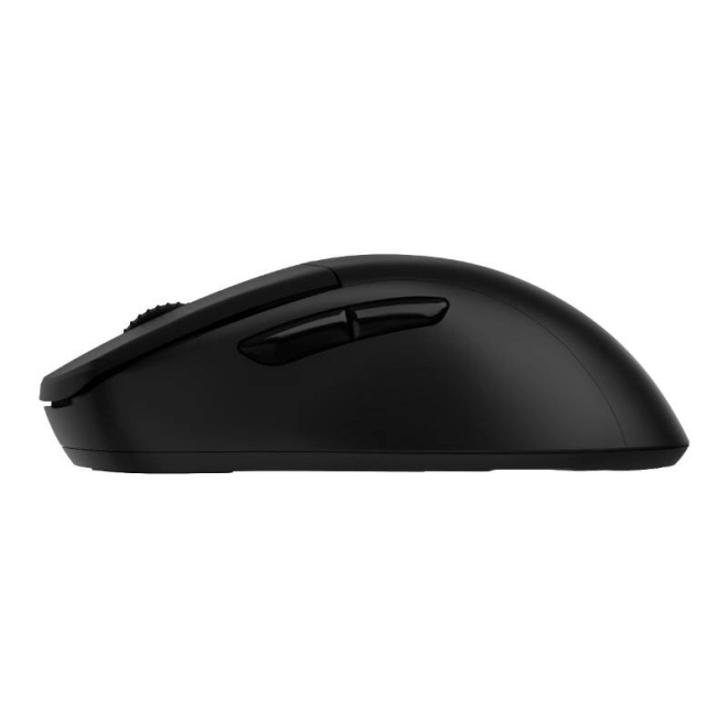 Dual Connectivity 2.4G and Bluetooth