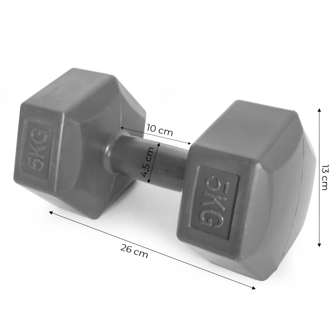 Set of Hex Dumbbells 2x5 kg Gray ModernHome