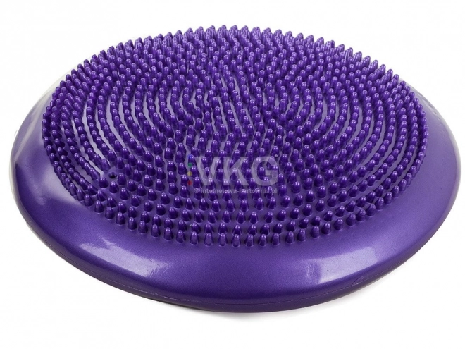Beret Cushion Sensory Fitness Disc – Purple