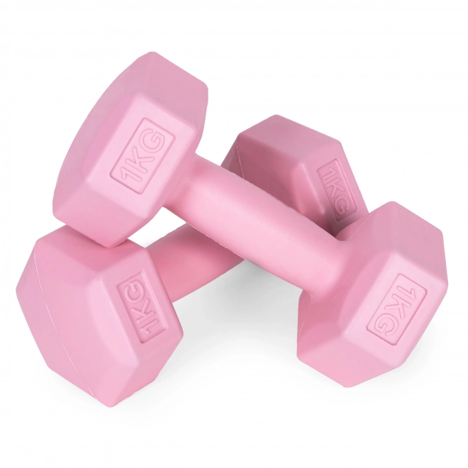 Pink Dumbbells 2x1 kg ModernHome