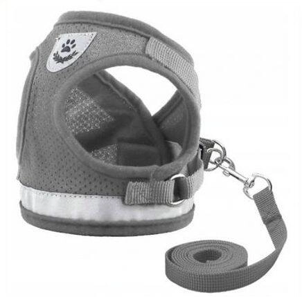Pressure-Free Walking Harness with Reflective Elements