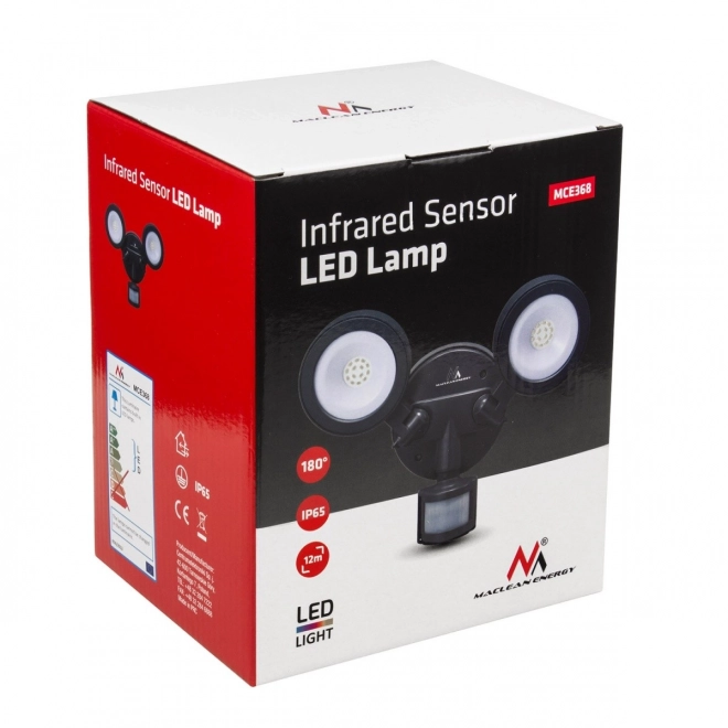 Wall LED Light with Motion Sensor