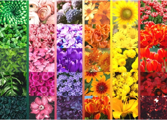 Palette florale vibrante en grille