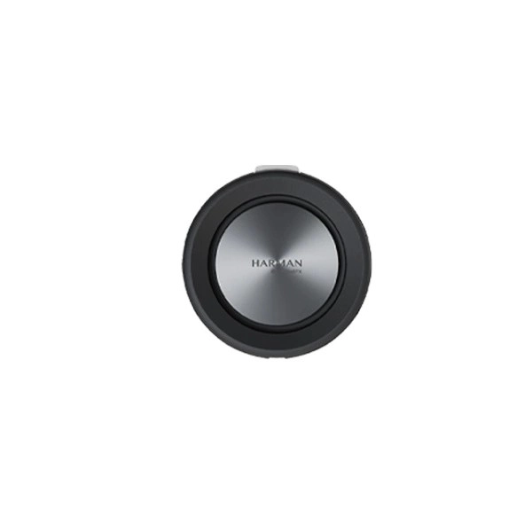 Altoparlante Bluetooth Xiaomi 40W IP67