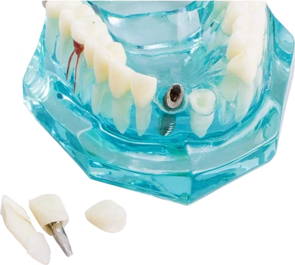 Vernost reprodukcije