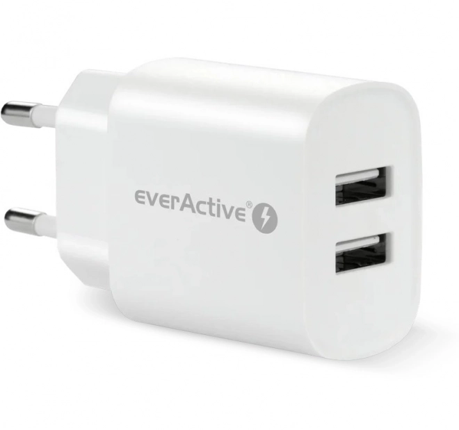 Fast Charging