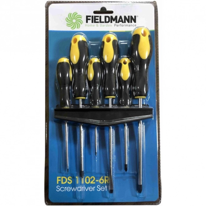 Set of 6 Screwdrivers Phillips and Flat
