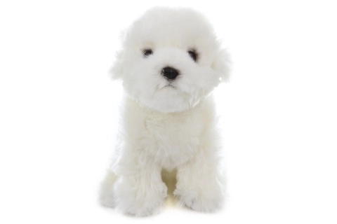 Plush Maltese 31 cm