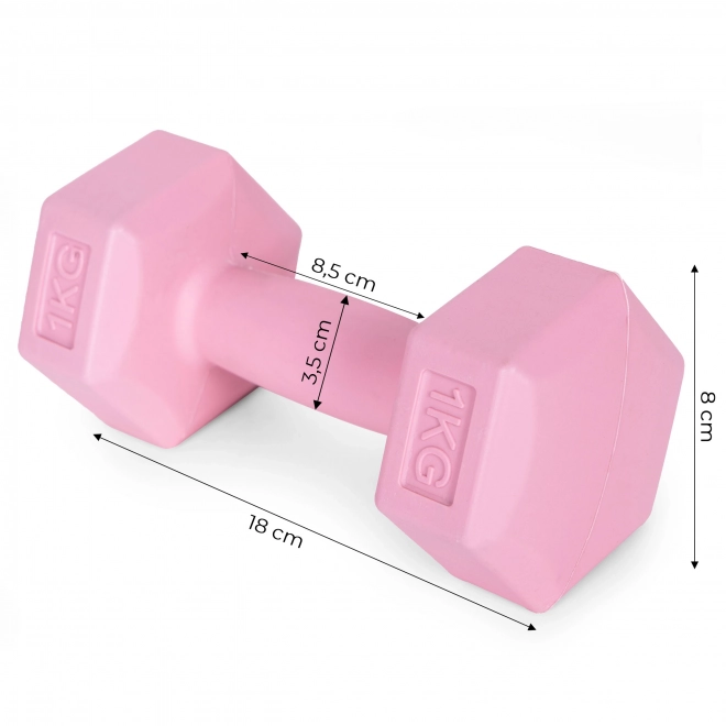 Pink Dumbbells 2x1 kg ModernHome