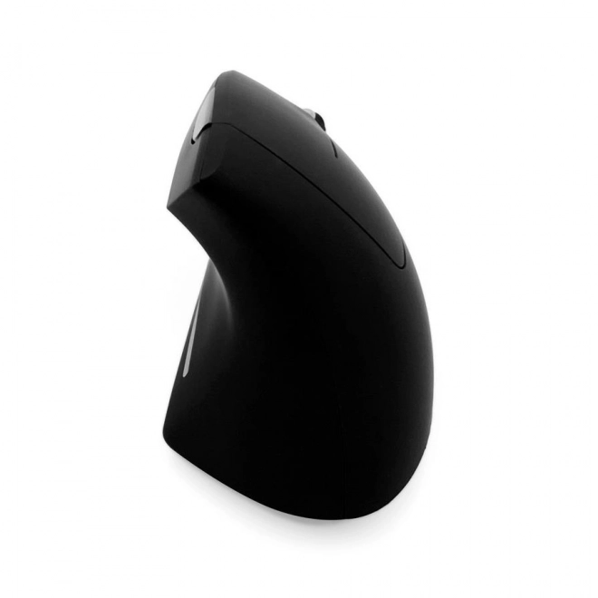 Ergonomic Vertical Wired Mouse with Color Lighting