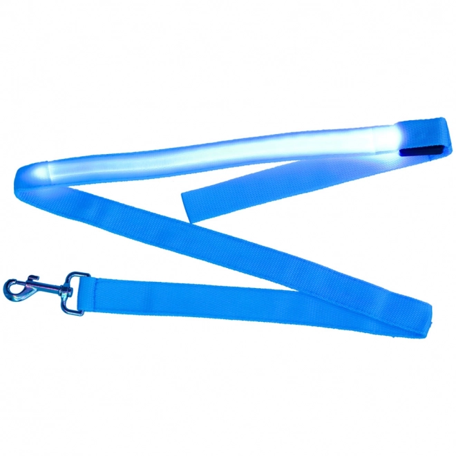 Leuchtende LED-Hundeleine Blau