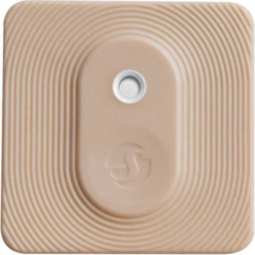 Automazione della smart home