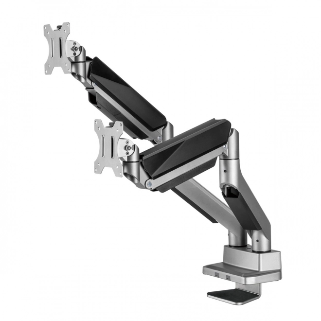 Ergo Office Dual Monitor Holder