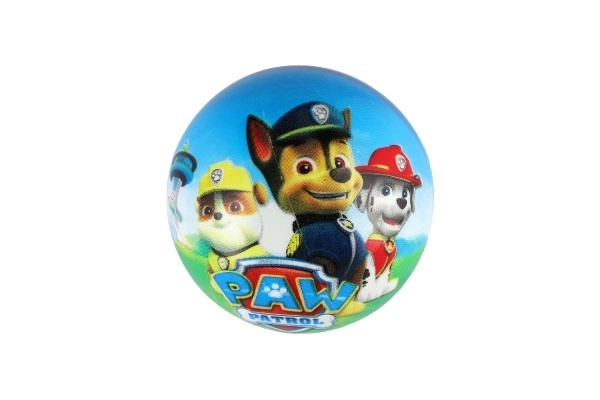 Paw Patrol Ball
