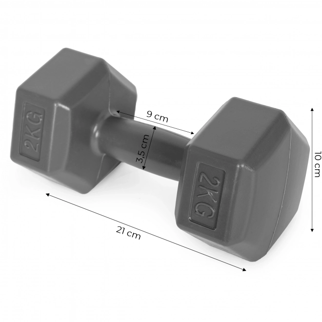 Hexagonal Dumbbells ModernHome 2x2 kg Grey