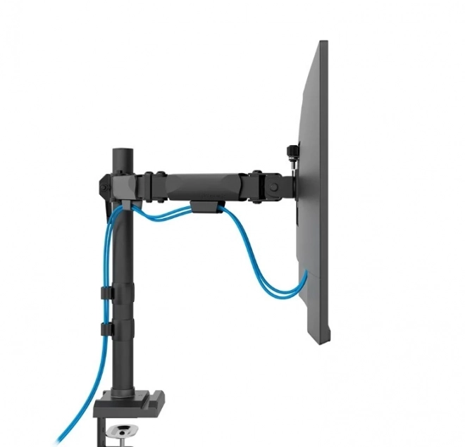 Adjustable dual monitor arm