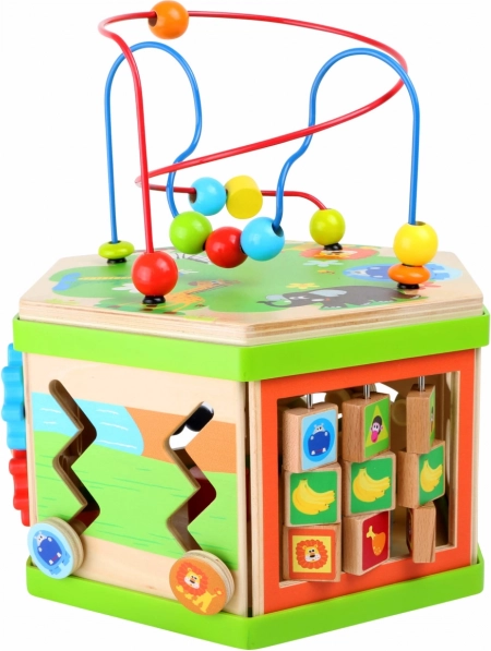 Multifunctional activities