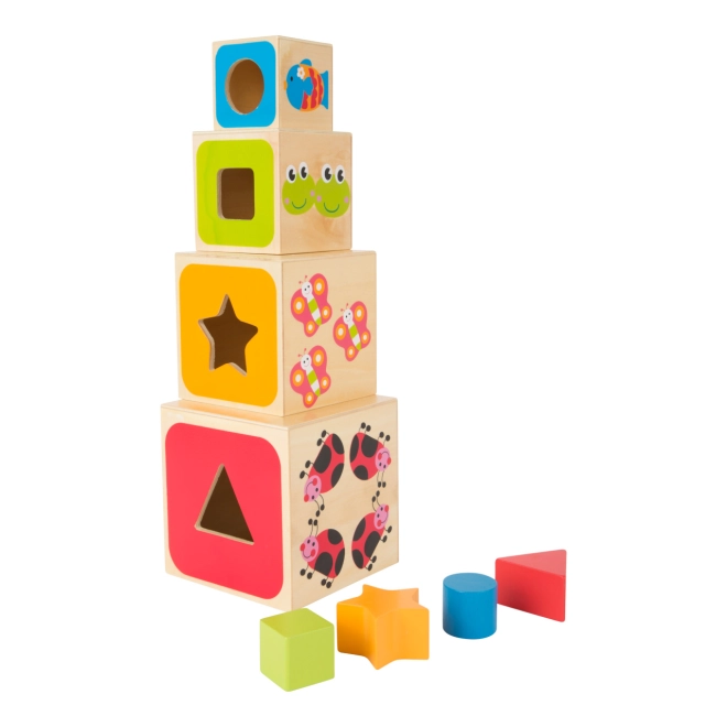 Supports fine motor skills and coordination